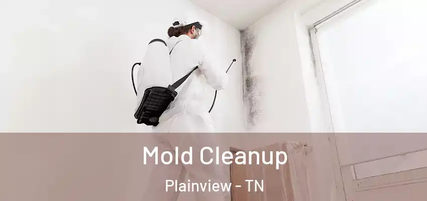  Mold Cleanup Plainview - TN