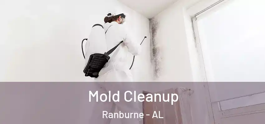  Mold Cleanup Ranburne - AL