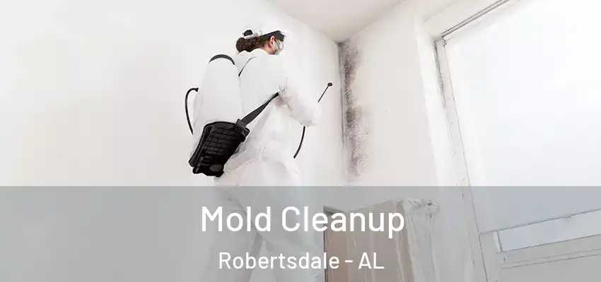 Mold Cleanup Robertsdale - AL