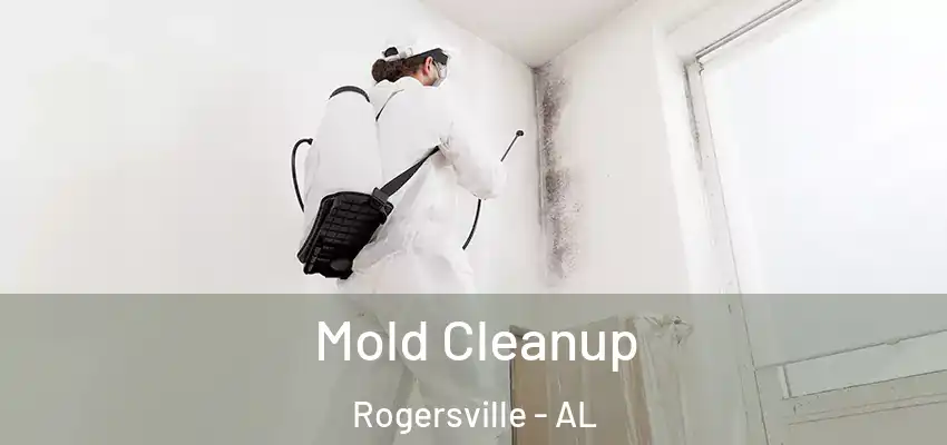  Mold Cleanup Rogersville - AL