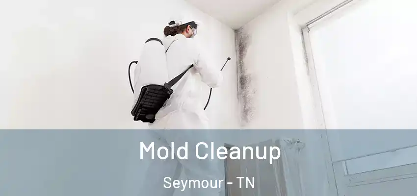 Mold Cleanup Seymour - TN