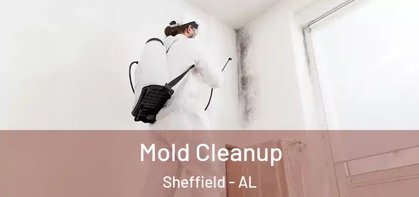 Mold Cleanup Sheffield - AL