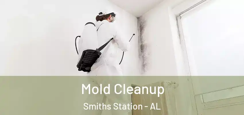  Mold Cleanup Smiths Station - AL