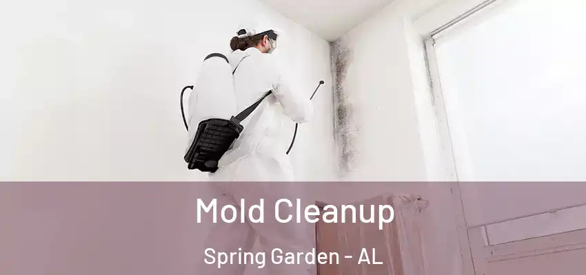 Mold Cleanup Spring Garden - AL