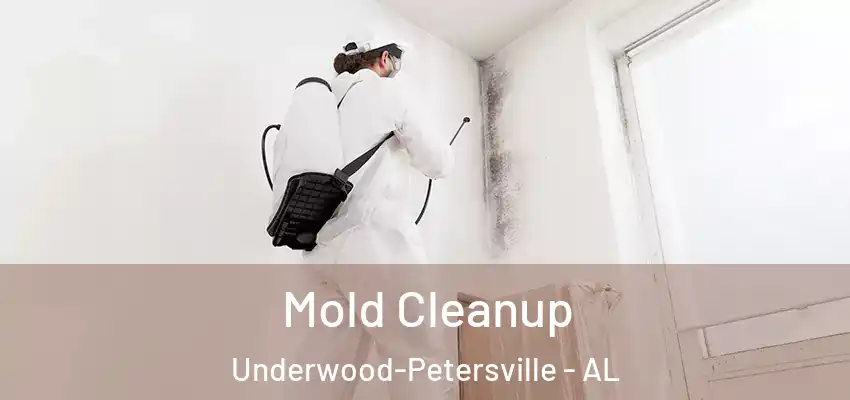 Mold Cleanup Underwood-Petersville - AL