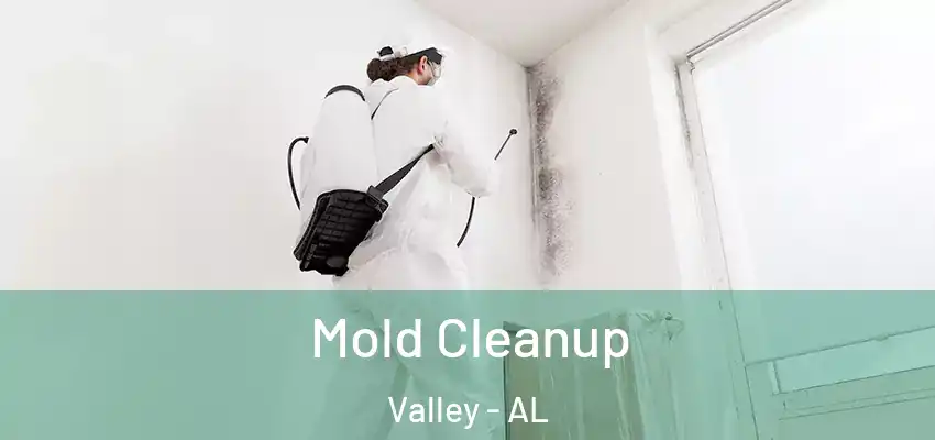  Mold Cleanup Valley - AL