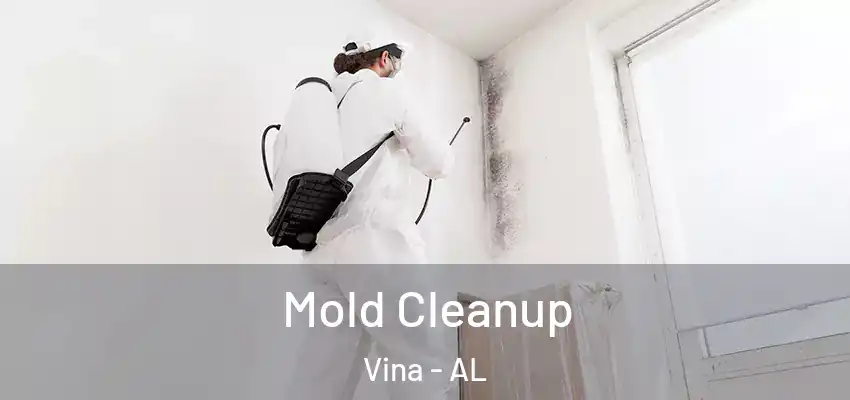  Mold Cleanup Vina - AL
