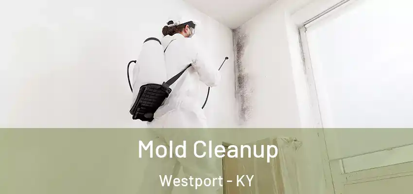  Mold Cleanup Westport - KY