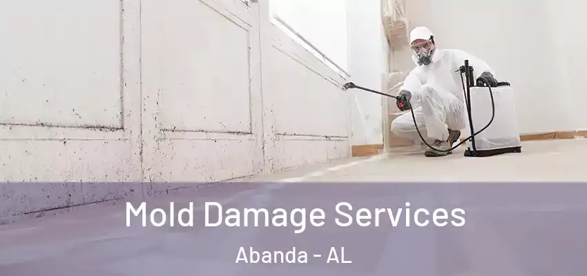  Mold Damage Services Abanda - AL