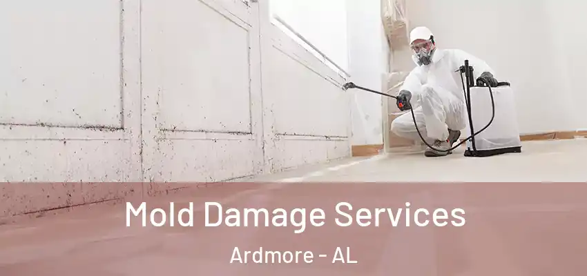 Mold Damage Services Ardmore - AL