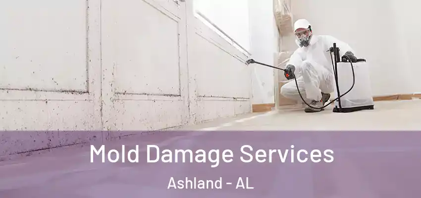  Mold Damage Services Ashland - AL