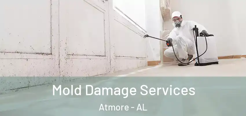 Mold Damage Services Atmore - AL
