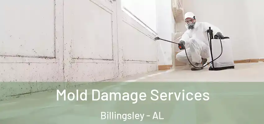 Mold Damage Services Billingsley - AL