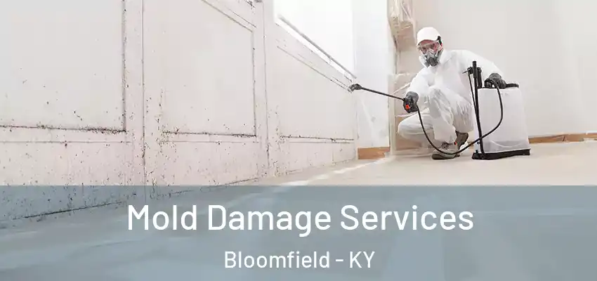 Mold Damage Services Bloomfield - KY
