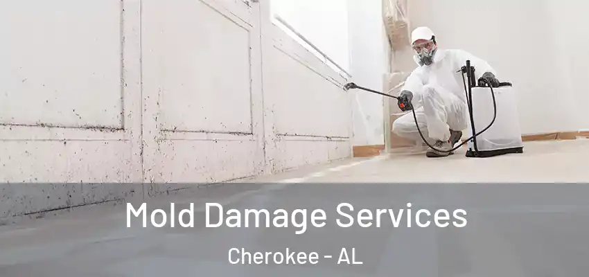 Mold Damage Services Cherokee - AL
