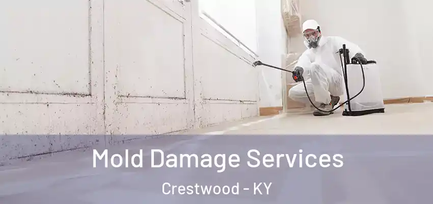Mold Damage Services Crestwood - KY