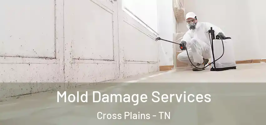 Mold Damage Services Cross Plains - TN