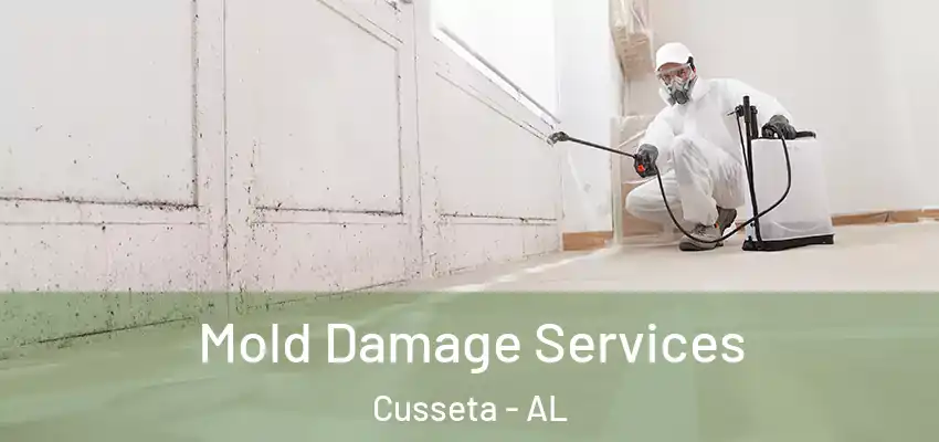  Mold Damage Services Cusseta - AL