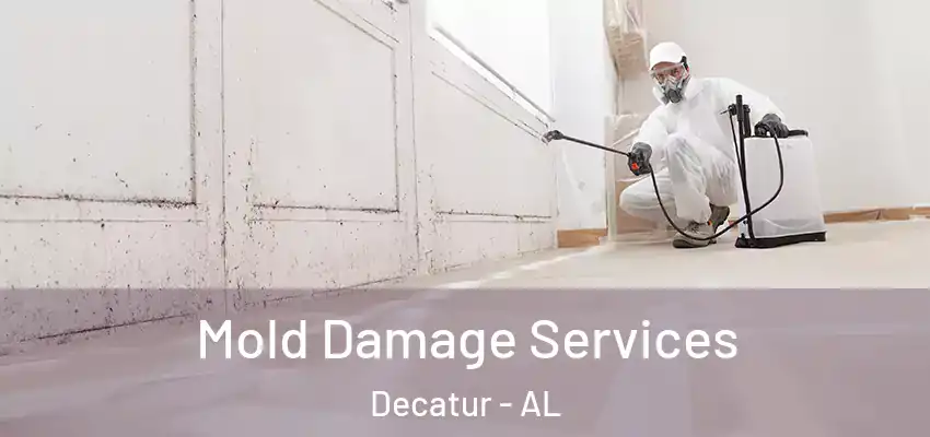  Mold Damage Services Decatur - AL