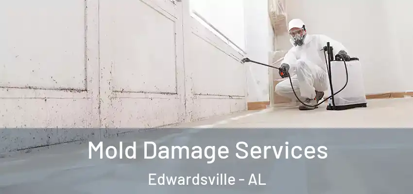 Mold Damage Services Edwardsville - AL