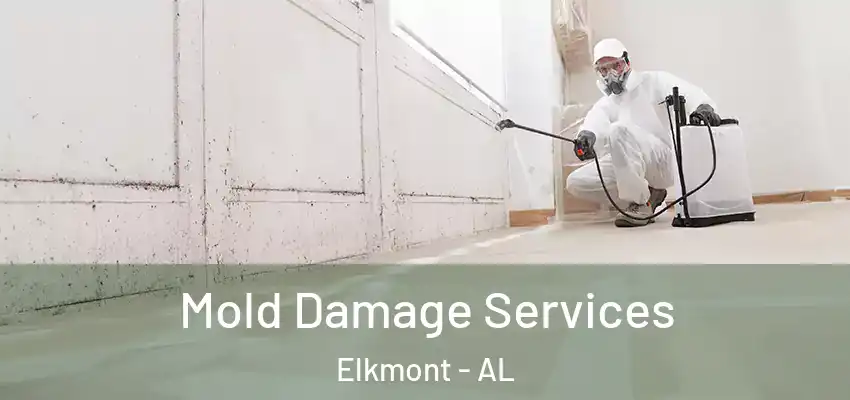  Mold Damage Services Elkmont - AL