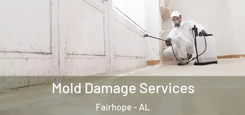 Mold Damage Services Fairhope - AL