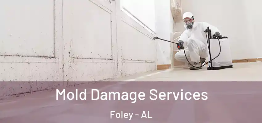 Mold Damage Services Foley - AL