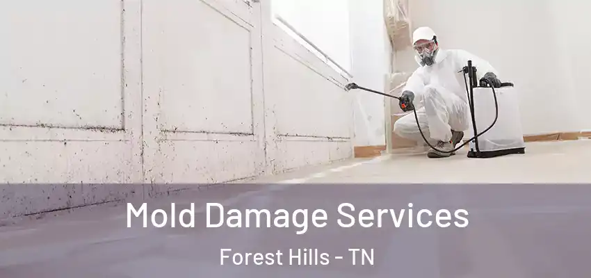 Mold Damage Services Forest Hills - TN