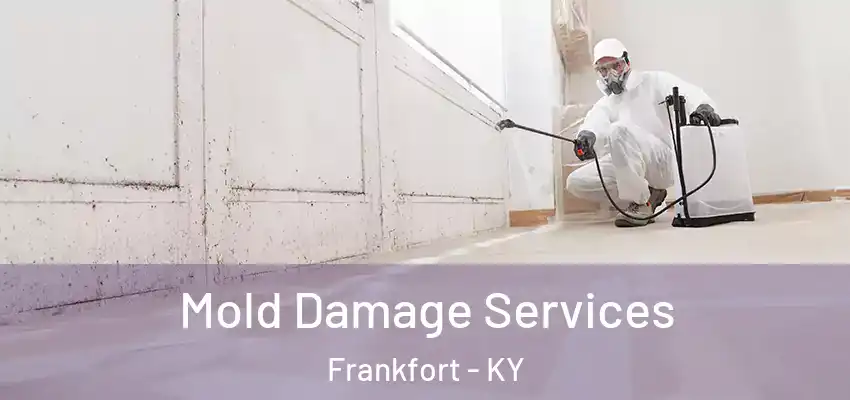  Mold Damage Services Frankfort - KY