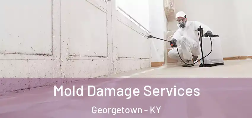  Mold Damage Services Georgetown - KY