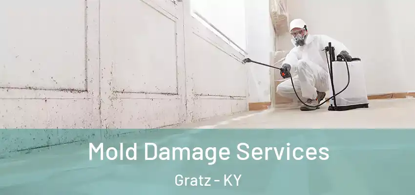  Mold Damage Services Gratz - KY