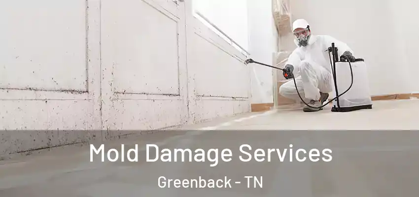  Mold Damage Services Greenback - TN