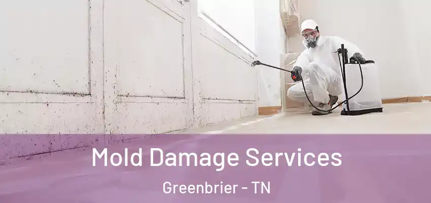 Mold Damage Services Greenbrier - TN