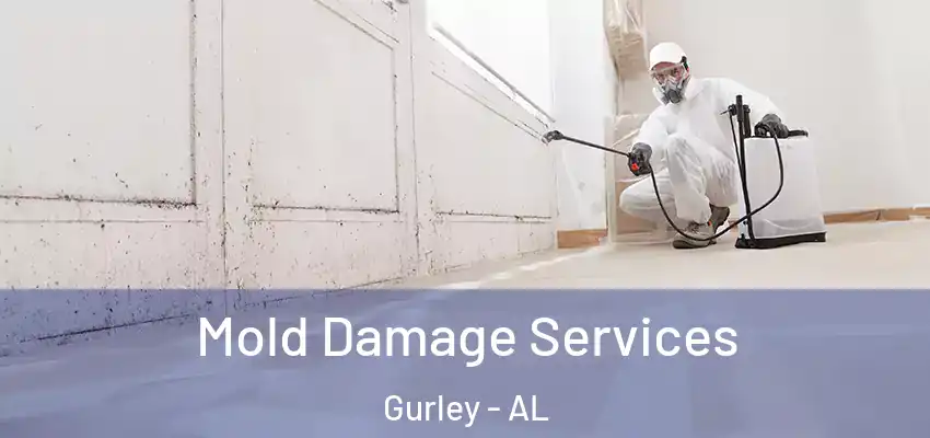 Mold Damage Services Gurley - AL