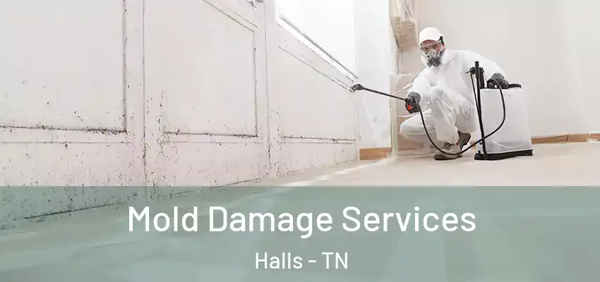 Mold Damage Services Halls - TN