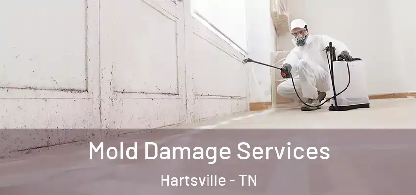 Mold Damage Services Hartsville - TN