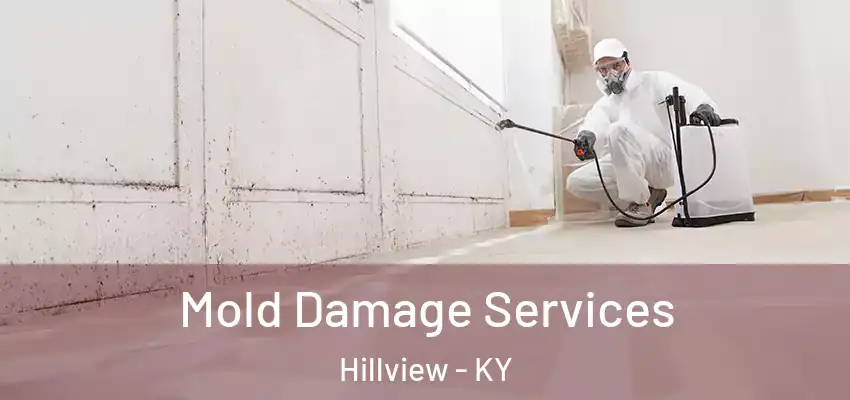  Mold Damage Services Hillview - KY