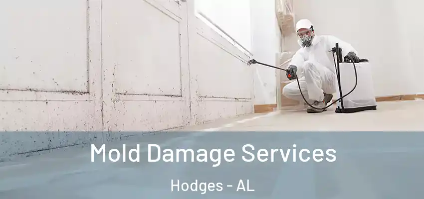  Mold Damage Services Hodges - AL