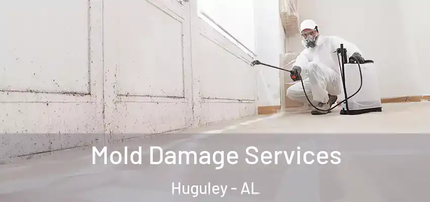 Mold Damage Services Huguley - AL