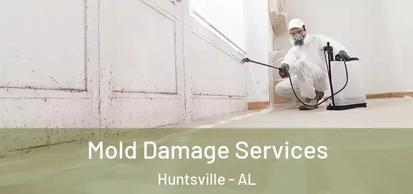  Mold Damage Services Huntsville - AL