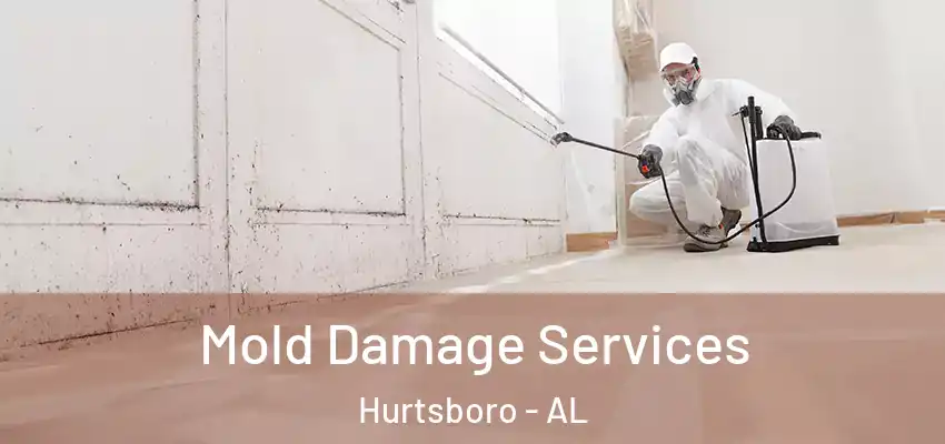  Mold Damage Services Hurtsboro - AL