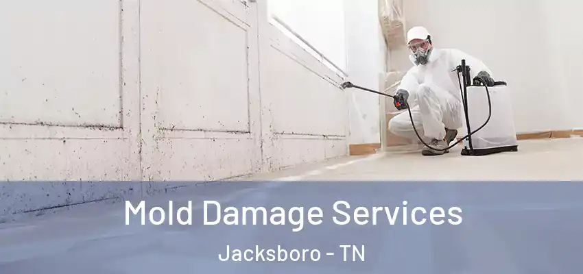  Mold Damage Services Jacksboro - TN