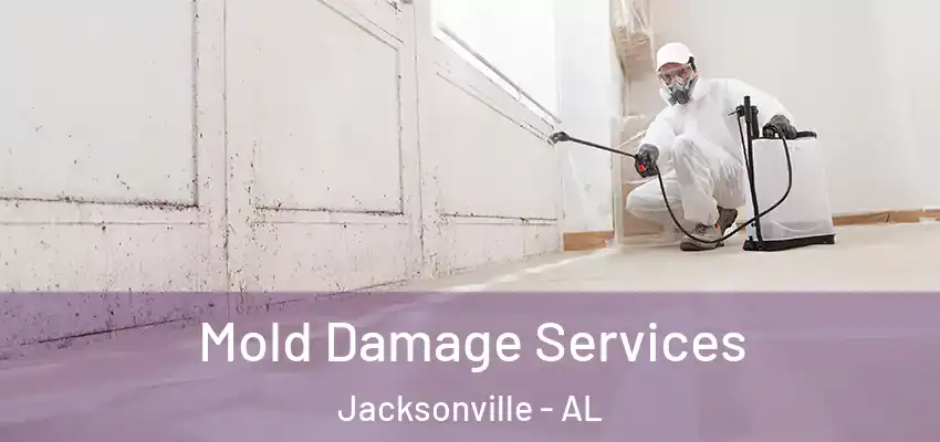  Mold Damage Services Jacksonville - AL