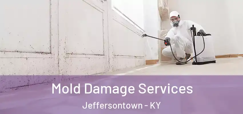  Mold Damage Services Jeffersontown - KY