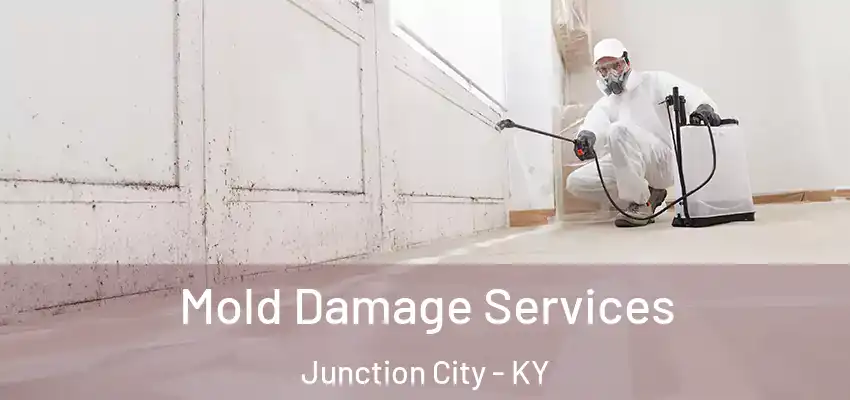 Mold Damage Services Junction City - KY