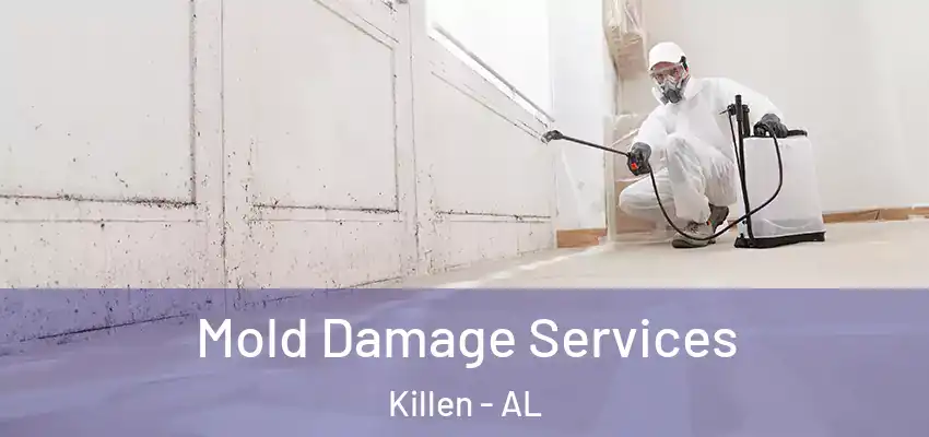  Mold Damage Services Killen - AL