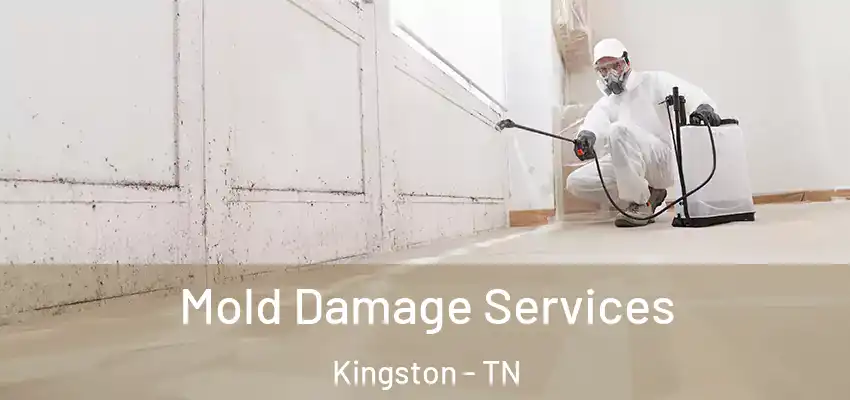 Mold Damage Services Kingston - TN