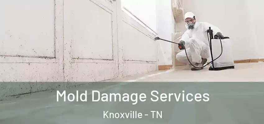 Mold Damage Services Knoxville - TN