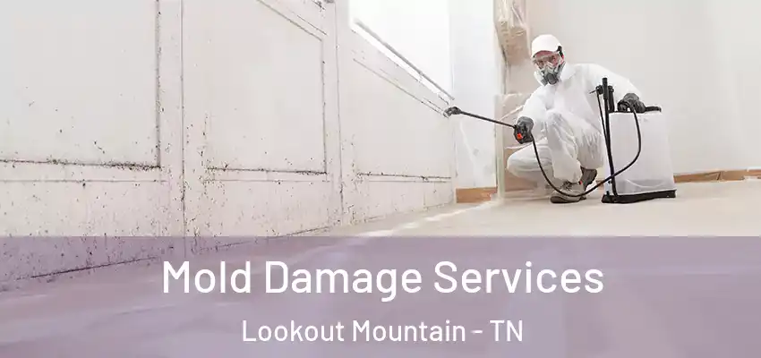 Mold Damage Services Lookout Mountain - TN