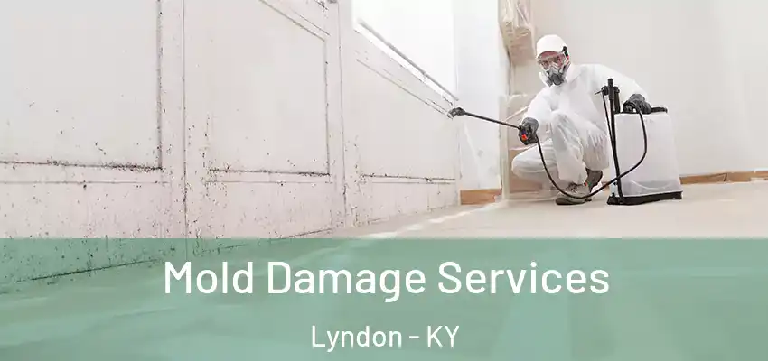 Mold Damage Services Lyndon - KY